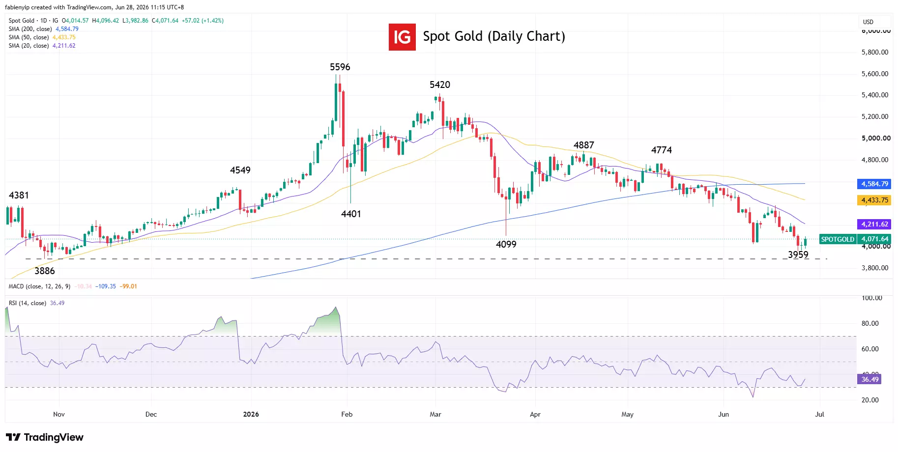 Spot gold daily price chart