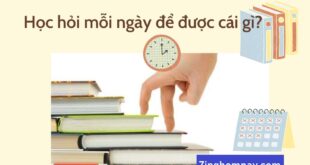 Học hỏi mỗi ngày để được cái gì?