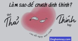 Làm sao để crush dính thính