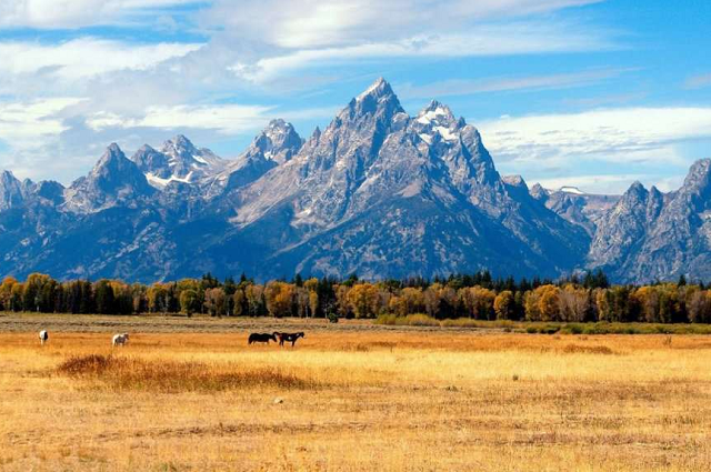 jackson-hole