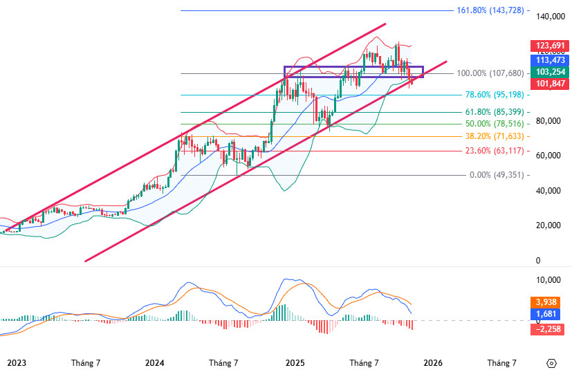 bao-cao-tien-ao-2025-t11-anh-1